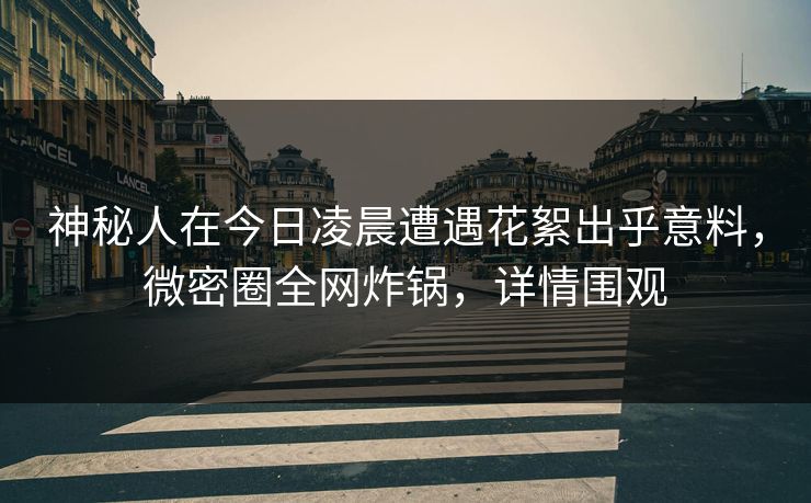 神秘人在今日凌晨遭遇花絮出乎意料，微密圈全网炸锅，详情围观
