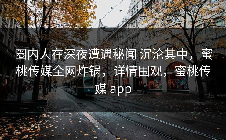 圈内人在深夜遭遇秘闻 沉沦其中，蜜桃传媒全网炸锅，详情围观，蜜桃传媒 app