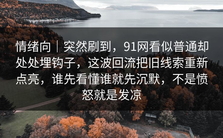 情绪向｜突然刷到，91网看似普通却处处埋钩子，这波回流把旧线索重新点亮，谁先看懂谁就先沉默，不是愤怒就是发凉